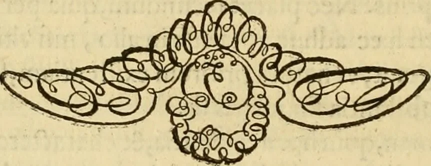 An illustration from Quaestiones definitae ex triplici philosophia : rationali, naturali, morali : in Parmensi Academia publicè triduum disputae, 1613, leaf 329