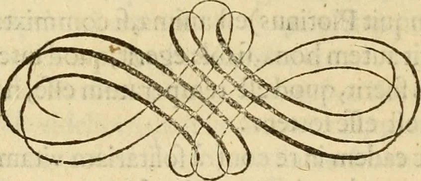 An illustration from Quaestiones definitae ex triplici philosophia : rationali, naturali, morali : in Parmensi Academia publicè triduum disputae, 1613, leaf 339