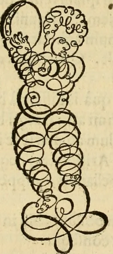 An illustration from Quaestiones definitae ex triplici philosophia : rationali, naturali, morali : in Parmensi Academia publicè triduum disputae, 1613, leaf 345