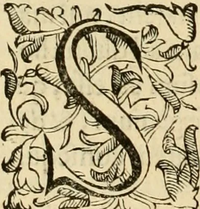 An illustration from Quaestiones definitae ex triplici philosophia : rationali, naturali, morali : in Parmensi Academia publicè triduum disputae, 1613, leaf 345