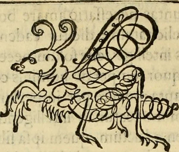An illustration from Quaestiones definitae ex triplici philosophia : rationali, naturali, morali : in Parmensi Academia publicè triduum disputae, 1613, leaf 349