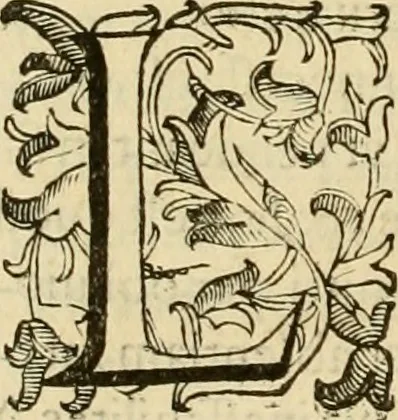 An illustration from Quaestiones definitae ex triplici philosophia : rationali, naturali, morali : in Parmensi Academia publicè triduum disputae, 1613, leaf 359