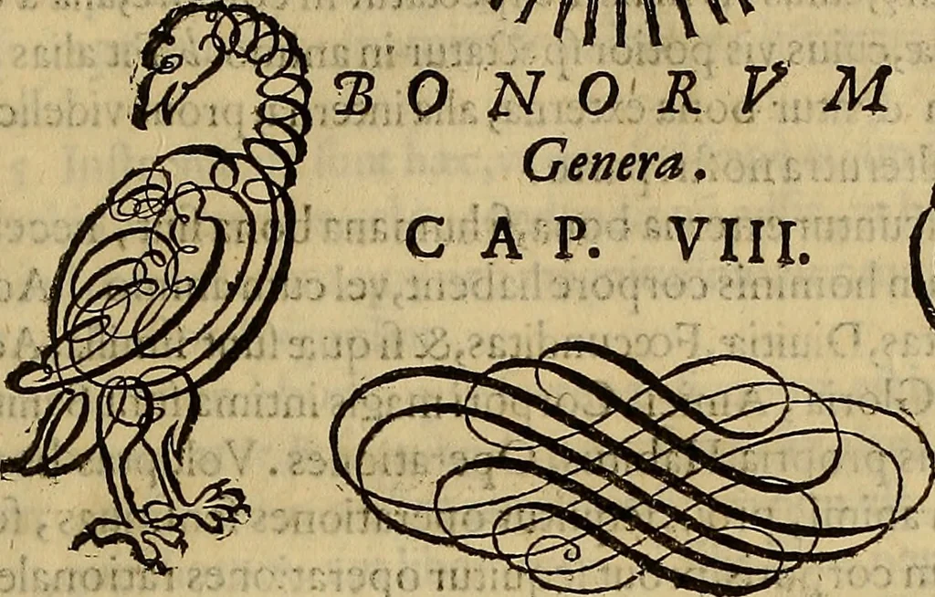 An illustration from Quaestiones definitae ex triplici philosophia : rationali, naturali, morali : in Parmensi Academia publicè triduum disputae, 1613, leaf 364