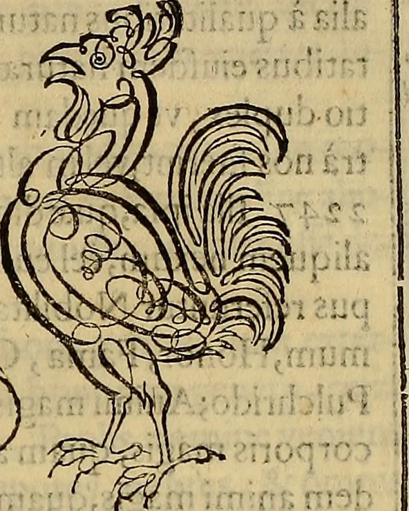 An illustration from Quaestiones definitae ex triplici philosophia : rationali, naturali, morali : in Parmensi Academia publicè triduum disputae, 1613, leaf 364