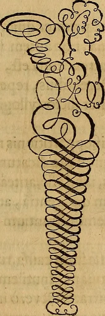 An illustration from Quaestiones definitae ex triplici philosophia : rationali, naturali, morali : in Parmensi Academia publicè triduum disputae, 1613, leaf 52