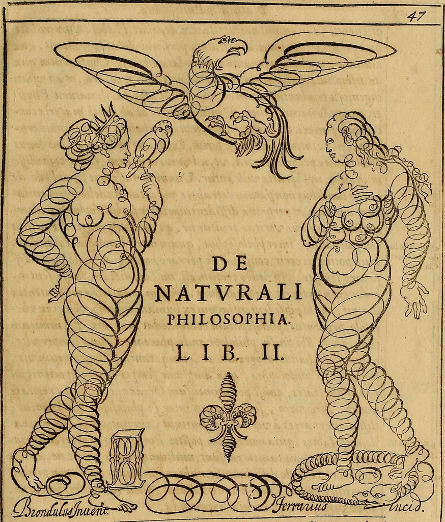 An illustration from Quaestiones definitae ex triplici philosophia : rationali, naturali, morali : in Parmensi Academia publicè triduum disputae, 1613, leaf 58