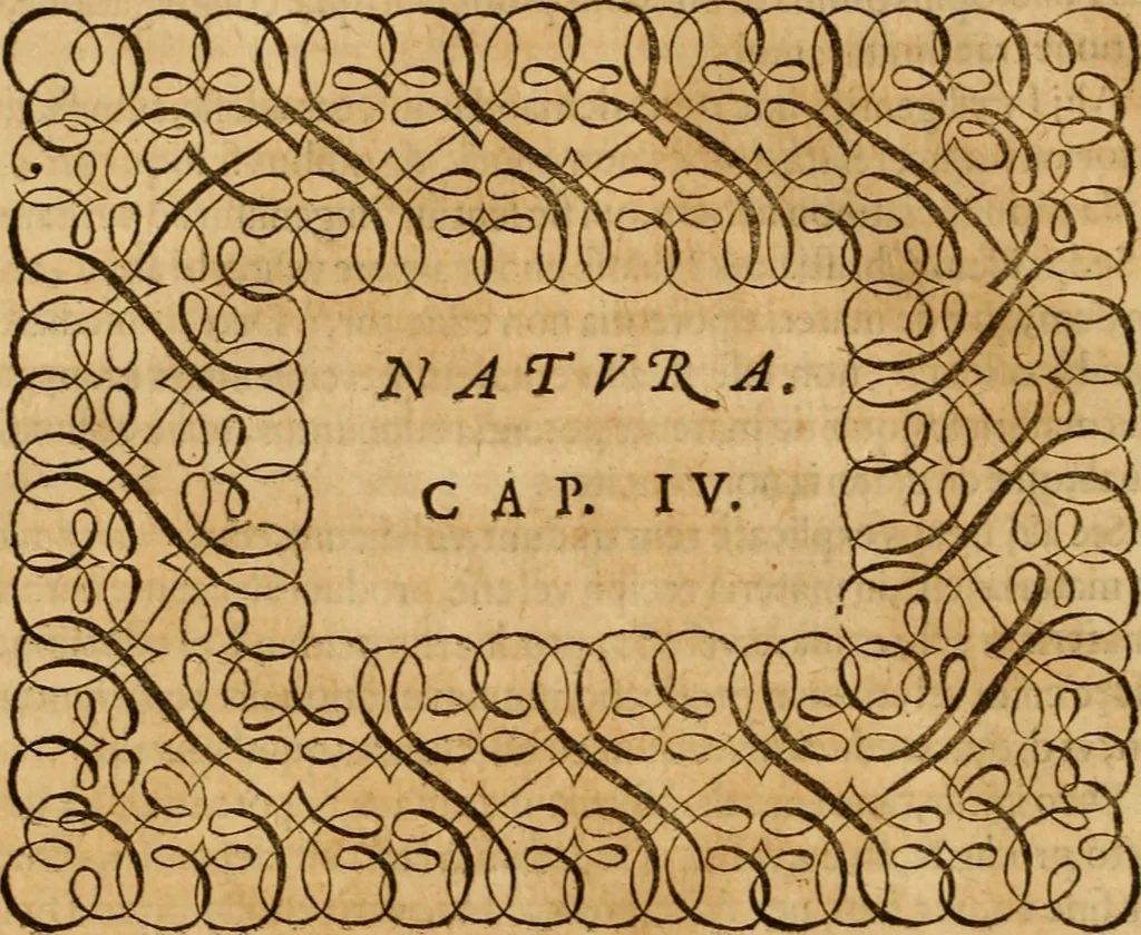 An illustration from Quaestiones definitae ex triplici philosophia : rationali, naturali, morali : in Parmensi Academia publicè triduum disputae, 1613, leaf 83