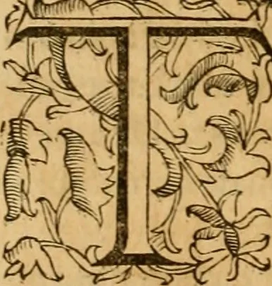 An illustration from Quaestiones definitae ex triplici philosophia : rationali, naturali, morali : in Parmensi Academia publicè triduum disputae, 1613, leaf 83