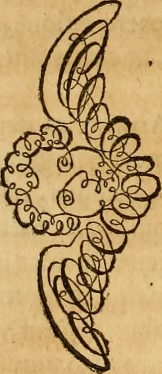 An illustration from Quaestiones definitae ex triplici philosophia : rationali, naturali, morali : in Parmensi Academia publicè triduum disputae, 1613, leaf 85