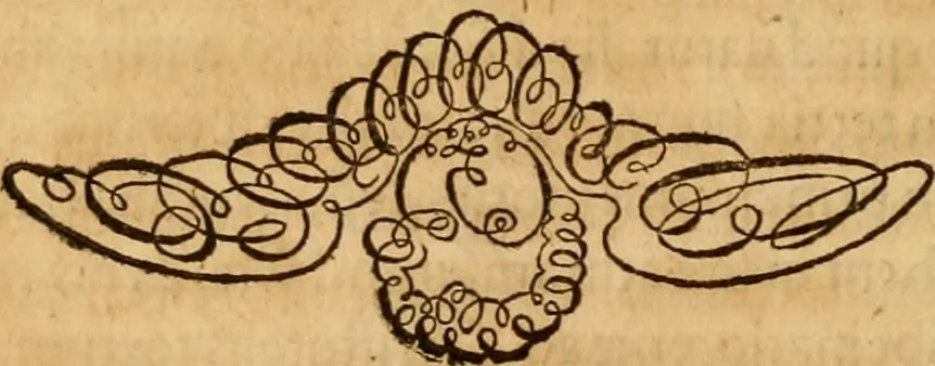 An illustration from Quaestiones definitae ex triplici philosophia : rationali, naturali, morali : in Parmensi Academia publicè triduum disputae, 1613, leaf 85