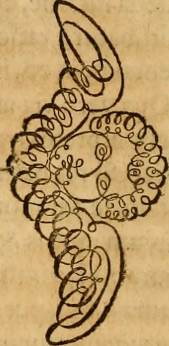 An illustration from Quaestiones definitae ex triplici philosophia : rationali, naturali, morali : in Parmensi Academia publicè triduum disputae, 1613, leaf 85