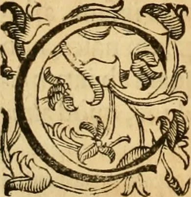 An illustration from Quaestiones definitae ex triplici philosophia : rationali, naturali, morali : in Parmensi Academia publicè triduum disputae, 1613, leaf 85