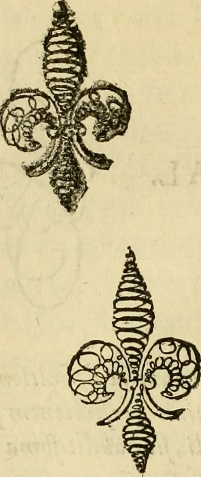 An illustration from Quaestiones definitae ex triplici philosophia : rationali, naturali, morali : in Parmensi Academia publicè triduum disputae, 1613, leaf 9