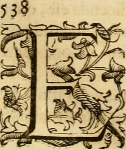An illustration from Quaestiones definitae ex triplici philosophia : rationali, naturali, morali : in Parmensi Academia publicè triduum disputae, 1613, leaf 97