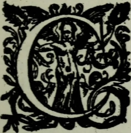 An illustration from Quaestiones quodlibetales, 1639, leaf 10