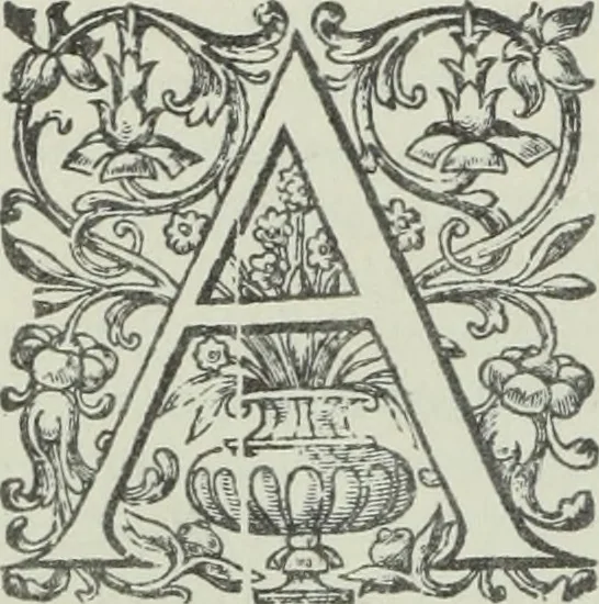 An illustration from Quaestiones quodlibetales, 1639, leaf 213