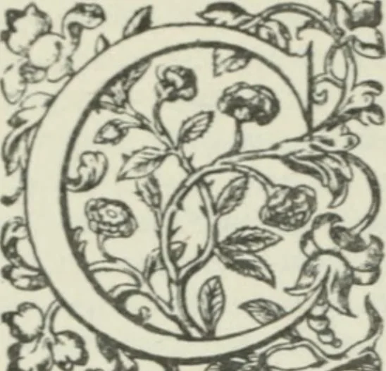 An illustration from Quaestiones quodlibetales, 1639, leaf 153