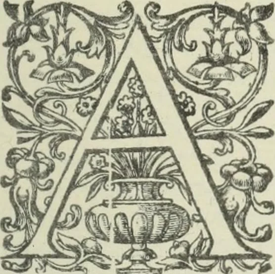 An illustration from Quaestiones quodlibetales, 1639, leaf 44