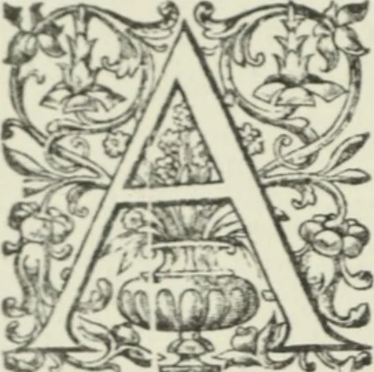 An illustration from Quaestiones quodlibetales, 1639, leaf 9