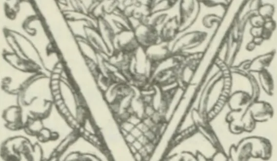 An illustration from Quaestiones quodlibetales, 1639, leaf 161