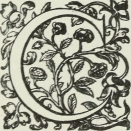 An illustration from Quaestiones quodlibetales, 1639, leaf 35