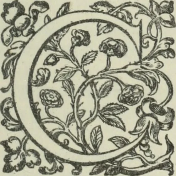 An illustration from Quaestiones quodlibetales, 1639, leaf 70