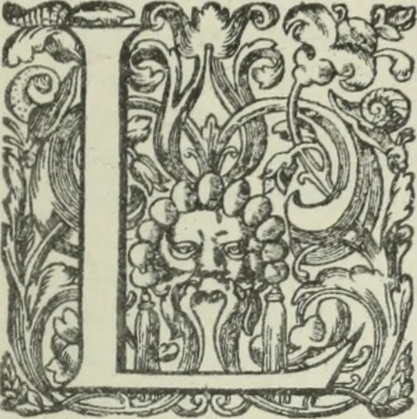 An illustration from Quaestiones quodlibetales, 1639, leaf 8