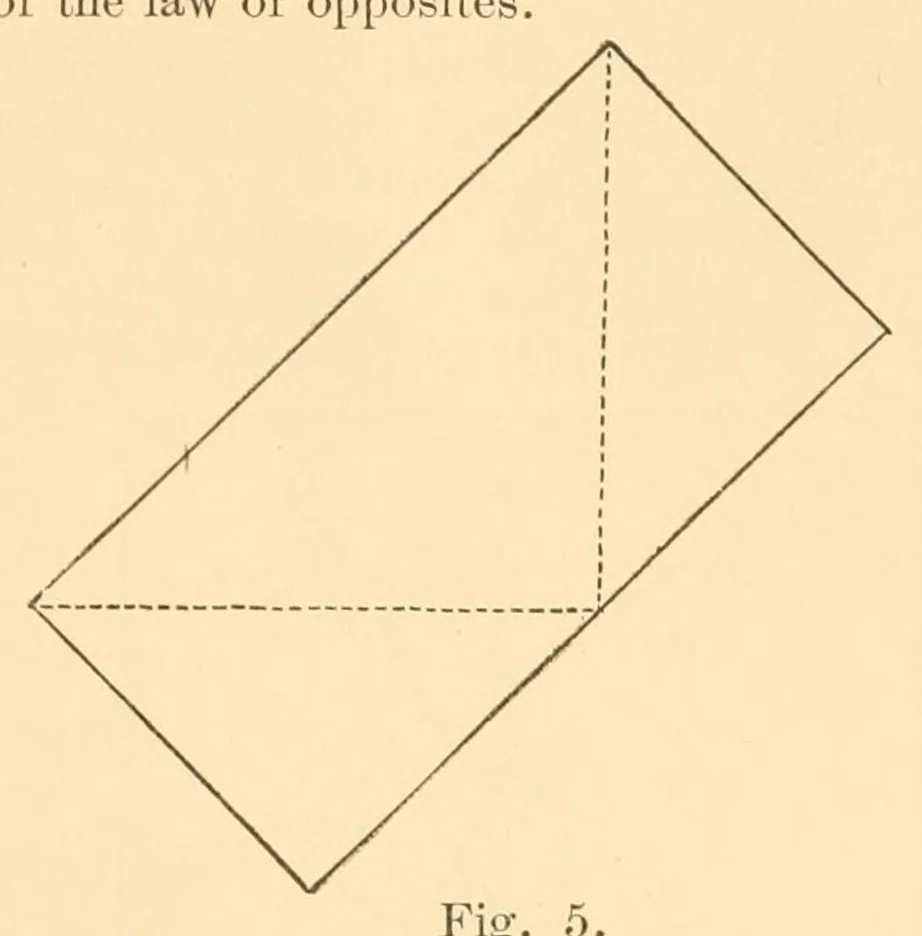 An illustration from Quarter century edition of The paradise of childhood. A practical guide to kindergartners, 1896, leaf 274
