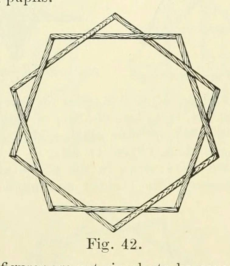 An illustration from Quarter century edition of The paradise of childhood. A practical guide to kindergartners, 1896, leaf 264