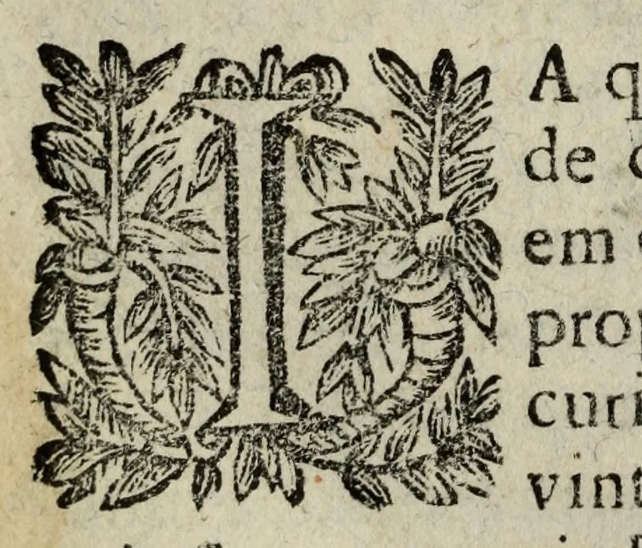 An illustration from Quatorze sermoens funeraes : em que se encerram, hum na manhã dos finados, cinco com nova traça nos anniversarios dos irmãos terceiros, cinco em differentes anniversarios com diversos titulos, hum na procissam dos ossos que faz a misericordia na tarde dos finados, & dous de exequias, 1690, leaf 30