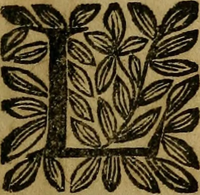 An illustration from Quatrains anatomiques des os et des muscles du corps humain : ensemble un discours de la circulation du sang, 1664, leaf 10