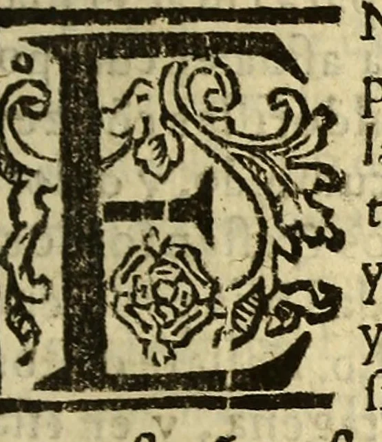 An illustration from Quatro libros. De la naturaleza, y virtudes de las plantas, y animales que estan receuidos en el vso de medicina en la Nueua España, y la methodo, y correccion, y preparacion, que para administrallas se requiere con lo que el doctor Francisco Hernandez escriuio en lengua latina. : Muy vtil para todo genero de gente q[ue] viue en esta[n]cias y pueblos, de no ay medicos, ni botica., 1615, leaf 353