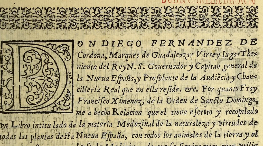 An illustration from Quatro libros. De la naturaleza, y virtudes de las plantas, y animales que estan receuidos en el vso de medicina en la Nueua España, y la methodo, y correccion, y preparacion, que para administrallas se requiere con lo que el doctor Francisco Hernandez escriuio en lengua latina. : Muy vtil para todo genero de gente q[ue] viue en esta[n]cias y pueblos, de no ay medicos, ni botica., 1615, leaf 9