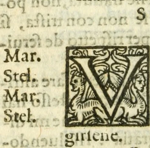 An illustration from Quattro commedie del divino Pietro Aretino. : Cioè Il marescalco; La cortigiana; La talanta; L'hipocrito, novellamente ritornate, per mezzo della stampa, a luce, a richiesta de conoscitori del lor valore, 1588, leaf 343