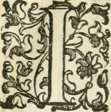 An illustration from I quattro libri dell'architettura di Andrea Palladio : ne' quali, dopò vn breue trattato de' cinque ordini, & di quelli auertimenti, che sono più necesarij nel fabricare : si tratta delle case private, delle vie, de i ponti, delle piazze, de i xisti, & de'tempij, 1616, leaf 114