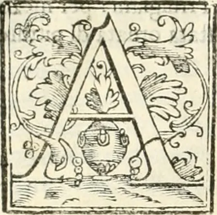 An illustration from I quattro libri dell'architettura di Andrea Palladio : ne' quali, dopò vn breue trattato de' cinque ordini, & di quelli auertimenti, che sono più necesarij nel fabricare : si tratta delle case private, delle vie, de i ponti, delle piazze, de i xisti, & de'tempij, 1616, leaf 127