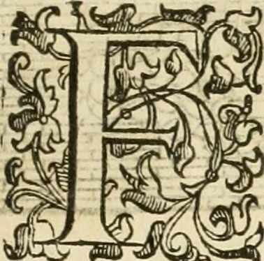 An illustration from I quattro libri dell'architettura di Andrea Palladio : ne' quali, dopò vn breue trattato de' cinque ordini, & di quelli auertimenti, che sono più necesarij nel fabricare : si tratta delle case private, delle vie, de i ponti, delle piazze, de i xisti, & de'tempij, 1616, leaf 14