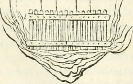 An illustration from I quattro libri dell'architettura di Andrea Palladio : ne' quali, dopò vn breue trattato de' cinque ordini, & di quelli auertimenti, che sono più necesarij nel fabricare : si tratta delle case private, delle vie, de i ponti, delle piazze, de i xisti, & de'tempij, 1616, leaf 165