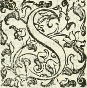 An illustration from I quattro libri dell'architettura di Andrea Palladio : ne' quali, dopò vn breue trattato de' cinque ordini, & di quelli auertimenti, che sono più necesarij nel fabricare : si tratta delle case private, delle vie, de i ponti, delle piazze, de i xisti, & de'tempij, 1616, leaf 167