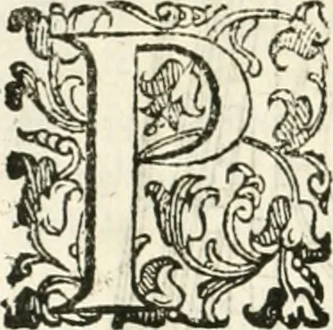 An illustration from I quattro libri dell'architettura di Andrea Palladio : ne' quali, dopò vn breue trattato de' cinque ordini, & di quelli auertimenti, che sono più necesarij nel fabricare : si tratta delle case private, delle vie, de i ponti, delle piazze, de i xisti, & de'tempij, 1616, leaf 175