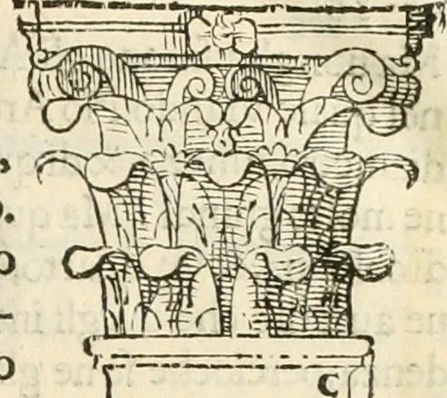 An illustration from I quattro libri dell'architettura di Andrea Palladio : ne' quali, dopò vn breue trattato de' cinque ordini, & di quelli auertimenti, che sono più necesarij nel fabricare : si tratta delle case private, delle vie, de i ponti, delle piazze, de i xisti, & de'tempij, 1616, leaf 18