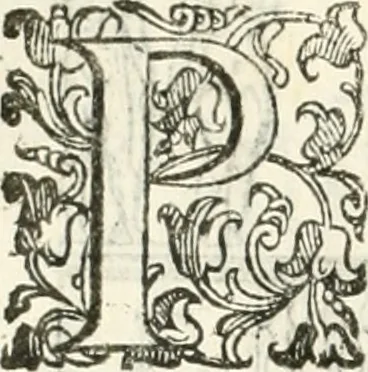 An illustration from I quattro libri dell'architettura di Andrea Palladio : ne' quali, dopò vn breue trattato de' cinque ordini, & di quelli auertimenti, che sono più necesarij nel fabricare : si tratta delle case private, delle vie, de i ponti, delle piazze, de i xisti, & de'tempij, 1616, leaf 195