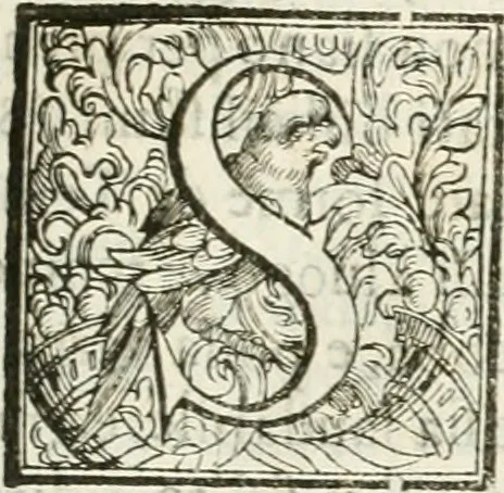 An illustration from I quattro libri dell'architettura di Andrea Palladio : ne' quali, dopò vn breue trattato de' cinque ordini, & di quelli auertimenti, che sono più necesarij nel fabricare : si tratta delle case private, delle vie, de i ponti, delle piazze, de i xisti, & de'tempij, 1616, leaf 200
