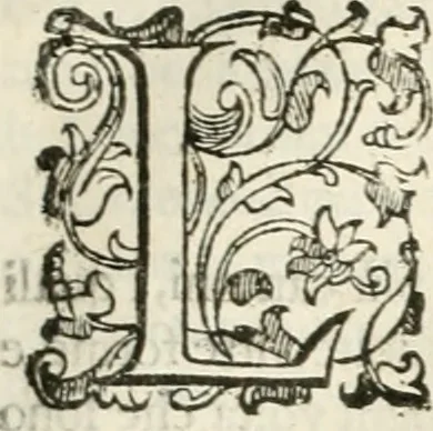 An illustration from I quattro libri dell'architettura di Andrea Palladio : ne' quali, dopò vn breue trattato de' cinque ordini, & di quelli auertimenti, che sono più necesarij nel fabricare : si tratta delle case private, delle vie, de i ponti, delle piazze, de i xisti, & de'tempij, 1616, leaf 202