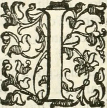 An illustration from I quattro libri dell'architettura di Andrea Palladio : ne' quali, dopò vn breue trattato de' cinque ordini, & di quelli auertimenti, che sono più necesarij nel fabricare : si tratta delle case private, delle vie, de i ponti, delle piazze, de i xisti, & de'tempij, 1616, leaf 203