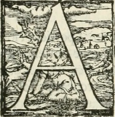 An illustration from I quattro libri dell'architettura di Andrea Palladio : ne' quali, dopò vn breue trattato de' cinque ordini, & di quelli auertimenti, che sono più necesarij nel fabricare : si tratta delle case private, delle vie, de i ponti, delle piazze, de i xisti, & de'tempij, 1616, leaf 204