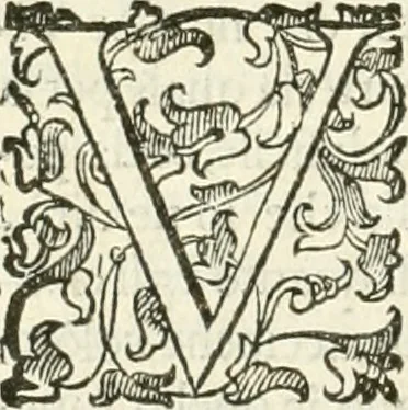 An illustration from I quattro libri dell'architettura di Andrea Palladio : ne' quali, dopò vn breue trattato de' cinque ordini, & di quelli auertimenti, che sono più necesarij nel fabricare : si tratta delle case private, delle vie, de i ponti, delle piazze, de i xisti, & de'tempij, 1616, leaf 205