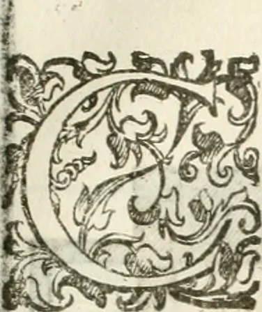 An illustration from I quattro libri dell'architettura di Andrea Palladio : ne' quali, dopò vn breue trattato de' cinque ordini, & di quelli auertimenti, che sono più necesarij nel fabricare : si tratta delle case private, delle vie, de i ponti, delle piazze, de i xisti, & de'tempij, 1616, leaf 208