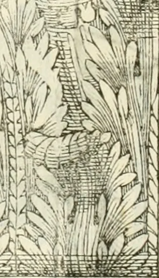 An illustration from I quattro libri dell'architettura di Andrea Palladio : ne' quali, dopò vn breue trattato de' cinque ordini, & di quelli auertimenti, che sono più necesarij nel fabricare : si tratta delle case private, delle vie, de i ponti, delle piazze, de i xisti, & de'tempij, 1616, leaf 211