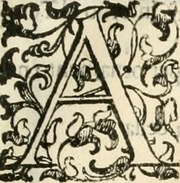 An illustration from I quattro libri dell'architettura di Andrea Palladio : ne' quali, dopò vn breue trattato de' cinque ordini, & di quelli auertimenti, che sono più necesarij nel fabricare : si tratta delle case private, delle vie, de i ponti, delle piazze, de i xisti, & de'tempij, 1616, leaf 212